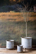 Load image into Gallery viewer, Footed Creamery Tank Planter
