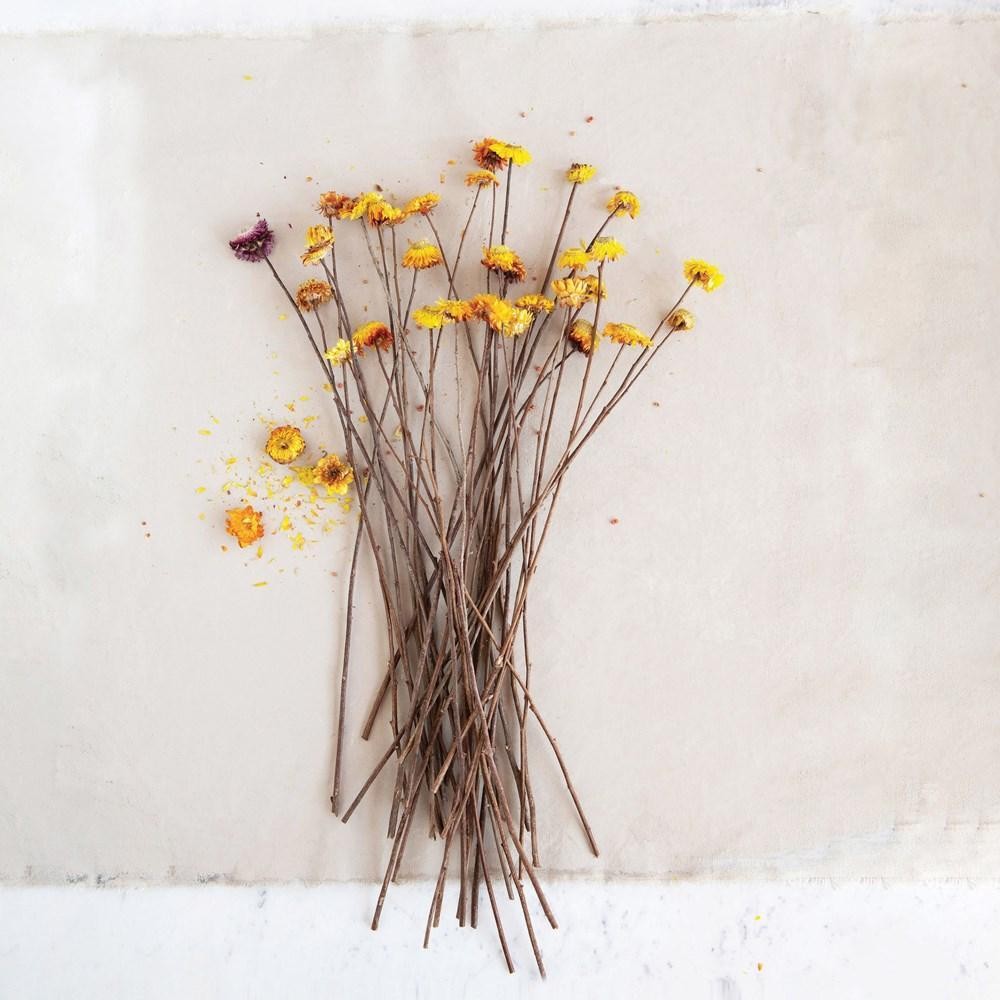 Dried Natural Straw Flower Bunch, Multi Color