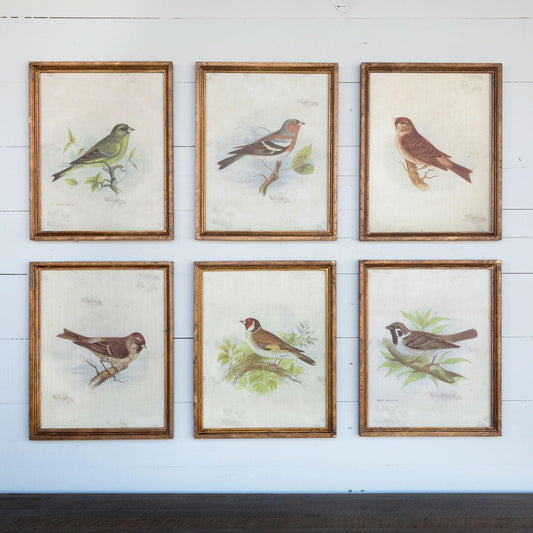 Wall Art, Vintage Bird