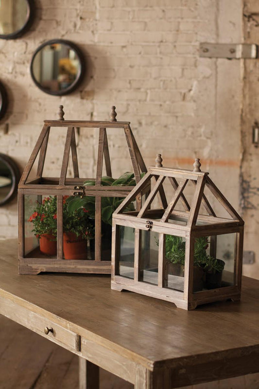 Wood and Glass Terrarium