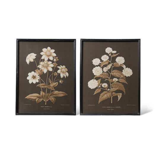 Wall Art,  Garden Floral Botanical Framed Print