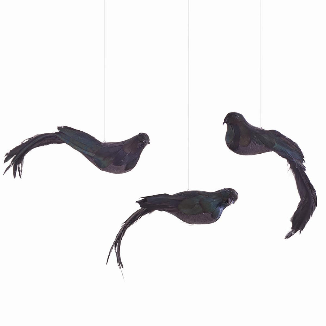 Ornament, Blackbird