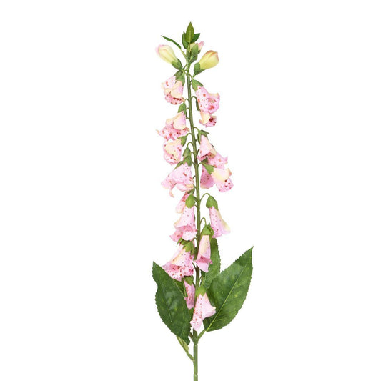 Crafted English Foxglove