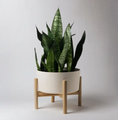 Load image into Gallery viewer, Planter Pot, W/ Stand Bamboo Fiber
